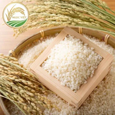 Bạn có nấu gạo nếp đúng cách