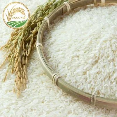 Cách phân biệt gạo Nhật thật hay giả