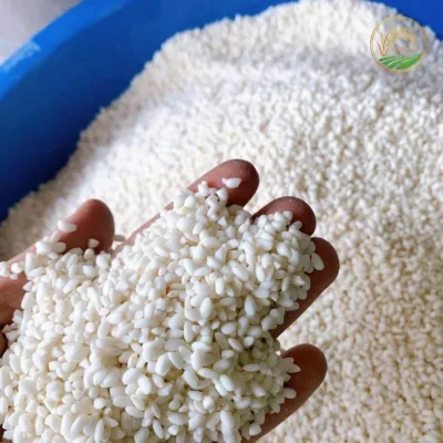 Nếp cái hoa vàng hưng yên