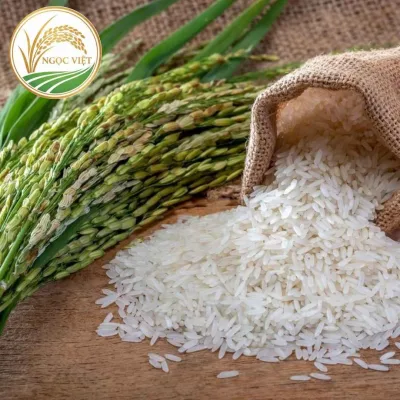 Cách phân biệt gạo Nhật thật hay giả