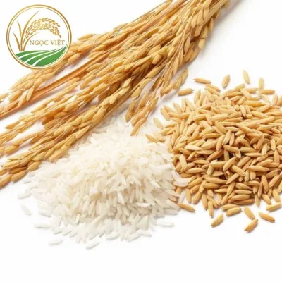 Dấu hiệu nhận biết gạo sạch tự nhiên