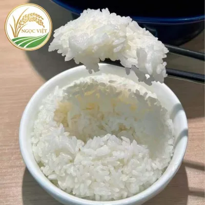 Gạo sạch thật có bị mọt không