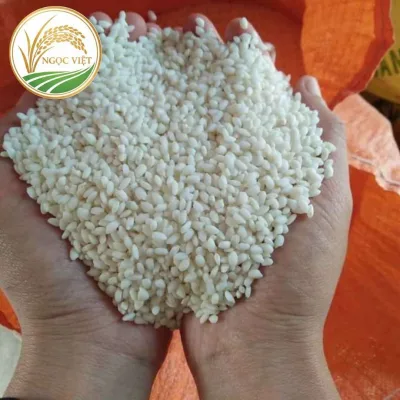 Gạo nếp bao nhiêu calo