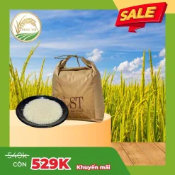 Combo Gạo ST25