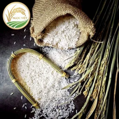Dấu hiệu nhận biết gạo sạch tự nhiên